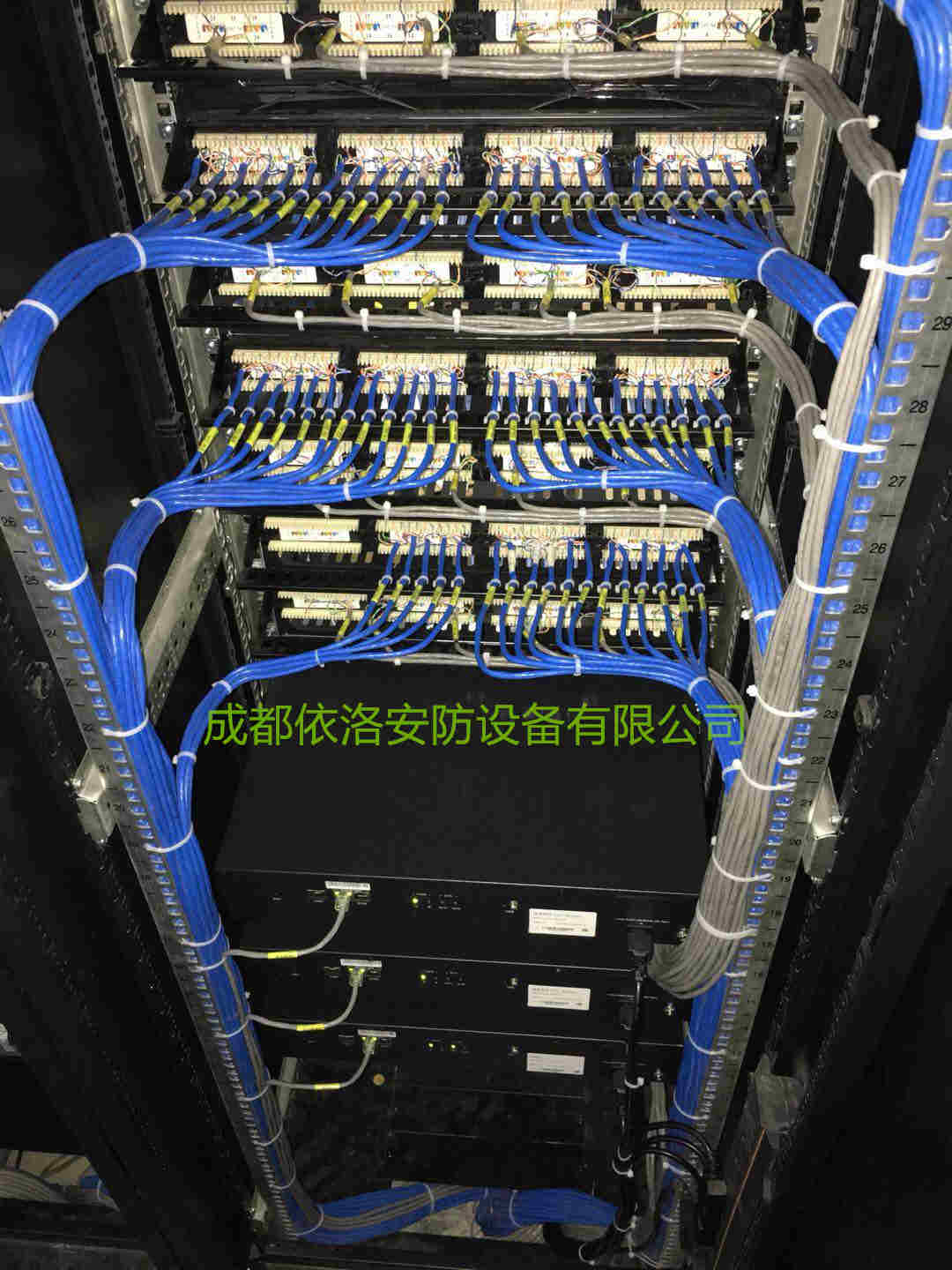 &#80;&#84;&#30495;&#20154;&#65288;&#20013;&#22269;&#65289;&#23448;&#26041;&#32593;&#31449;