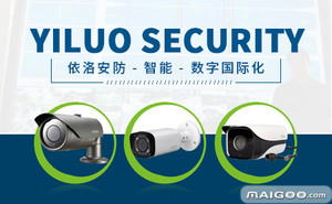 &#80;&#84;&#30495;&#20154;&#65288;&#20013;&#22269;&#65289;&#23448;&#26041;&#32593;&#31449;