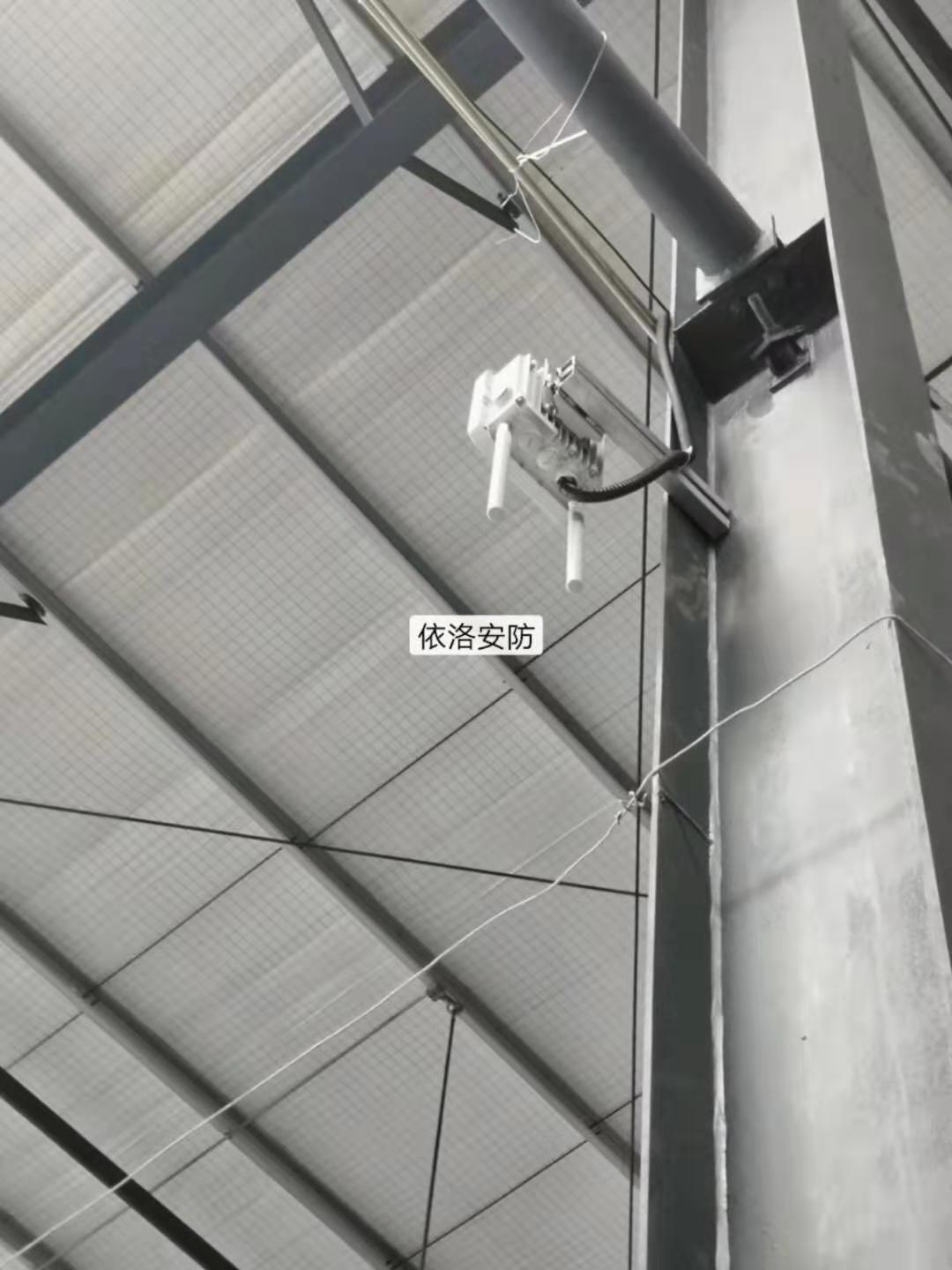 &#80;&#84;&#30495;&#20154;&#65288;&#20013;&#22269;&#65289;&#23448;&#26041;&#32593;&#31449;
