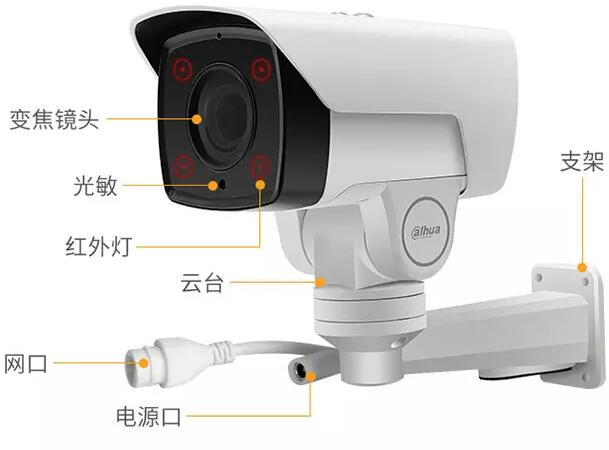 &#80;&#84;&#30495;&#20154;&#65288;&#20013;&#22269;&#65289;&#23448;&#26041;&#32593;&#31449;